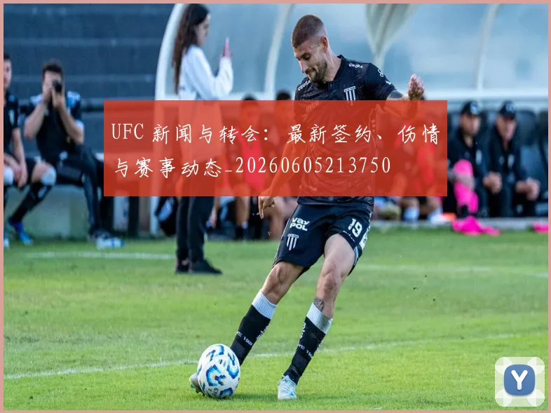 UFC 新闻与转会:最新签约、伤情与赛事动态_20260605213750